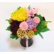 ���ފ� ������ �� ���� �v���U�[�u�h�t�����[ �������� �a �n�X �v���U�[�u�h�t�����[������ �͂�Ȃ��� �v���U�[�h�䕧�O ���� ������� �l�\��� ��