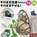 �L���b�v�E�H�b�V���[ �P�� �z���C�g �u���b�N ����l�b�g �X�q ���� �L���b�v ����@ �^����h�~ �X�q�� �� �v���X�`�b�N �X�q�p