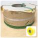 [ не использовался товар ] Marusan химическая промышленность ( АО ) M-Band M частота PP частота автоматика упаковочный аппарат для 15mm×2500m 1 шт желтый цвет желтый MA15-145