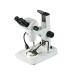 アズワン ズーム実体顕微鏡 フレキシブルライト付 双眼 VS-1B-GN (3-107-01)
