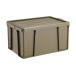  свет box 66L OD цвет Trusco Nakayama ODR-04 (61-3202-14)