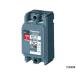  автоматический выключатель BBW-60 2P4 Panasonic BBW2401 (62-2467-74)