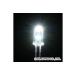  супер высокая яркость LED белый цвет *3mm*5 штук EK JAPAN LK-3WH (63-3191-19)