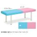ͭ⡼ 55Ĺ170߹⤵70cm 졼 ĥ٥å TB-310U (63-9027-92)