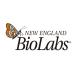 Ph.D.-12 Phage Display Peptide Library Kit v2 BioLabs E8210S (65-8285-65)