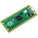 Raspberry Pi Pico Raspberry Pi RASPBERRYPI-PICO (67-0383-48)