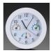φ250mm настенные часы температура * гигрометр есть eskoEA798CN-1 (78-0586-66)