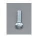 M6 x10mm Ƭͤ ˥å/18  EA949NE-610 (78-0913-21)