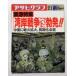  б/у журнал [ Asahi Graph ] еженедельный 1991.2.1 срочный специальный выпуск [ побережье залива война ] наконец . departure!! Ближний Восток . битва огонь расширение, долгое время . обязательно .