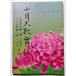  б/у брошюра [ 10 7 .* 10 .. Nakamura . Saburou .. 10 месяц большой kabuki ] эпоха Heisei 26 год kabuki сиденье 