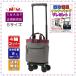 �X���j�[ �L�����[�o�b�O SWANY �V�^ D-675 ���o���h TS18�T�C�Y �O���[�F (�������T�C�Y)�@�S��(�ᑛ���E��U��)�L���X�^�[ �X�g�b�p�[�t ���s�o�b�O �ʉ@