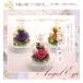  pet ..... . flower dog cat preserved flower . flower ... flower Blizzard flower family Buddhist altar for memorial service .... flower art four season [ Angel ]