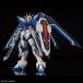  Bandai Spirits 5066284 HGCE 243 1/144 STTS-909 Rising freedom Gundam HG gun pra 