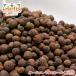 все специя отверстие 100g Allspice Whole почтовая доставка бесплатная доставка 