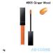 ティント アディクション ADDICTION リップ セラム ティント #005 Ginger Mood ジンジャー ムード 4g 2024春