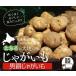  мужчина . картофель 5kg[ прямая поставка от производителя / включая доставку / день доставки указание не возможно /10 месяц сверху .* средний .* последняя декада. отправка * предварительный заказ. порядок . отправка делает ] подарок Hokkaido производство F370