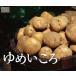 ��߂�����i���Ⴊ�����j 10kg�@�Y�n����/���������z�B���w��s�E������9�����ȍ~�`�� �����p �v���[���g F676