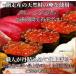 �󂠂肢����ݖ��Ё@70���r/ ���т̂��� ���� �Z�� ���i�l�^ ���炵���i �i�i �݌ɏ��� �󂠂菤�i ���� F767 �֘A�摜1