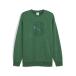 PUMA Puma M TMNT RELAXED GRAPHIC CR тренировочный Crew 630100 37VINE