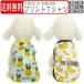 �䂤���[�� ��������  �ėp ���^���p �t �� �H ���� ���킢�� ������� �o�i�i�� ���Ȃ� �J�b�g�\�[ �� �L �y�b�g XS�T�C�Y S�T�C�Y M�T�C�Y L�T�C�Y XL�T�C