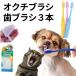 �y�b�g�p�i �� ���u���V EDOGJAPAN ���u���V�R�{ �I�N�`�u���V�Q�{ �V�O����