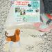  товары для домашних животных собака кошка .... запах песок zeo свет Alpha MP Sand модель 5kg Хонсю Сикоку только отправка возможность 