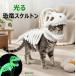  домашнее животное динозавр костюм собака кошка динозавр каркас костюм темнота . светится для домашних животных. настоящий . динозавр. каркас костюм поверхность белый love казаться . свет динозавр. костюм 