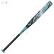 [ Mizuno ] Mizuno Pro AX4 12 дюймовый /e- X four / софтбол для bat /MIZUNO(1CJFSA0284)0925 черный ×HISUI