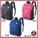 [ Descente ] графика рюкзак спорт сумка / рюкзак /DESCENTE/BAG (DAC-8720)