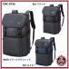 [ Descente ] активный тренировка рюкзак L размер спорт сумка / рюкзак /DESCENTE/BAG (DAC-8726)