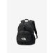 [THE NORTH FACE]Leap 20 Lee p20/ North Face / внутренний стандартный товар (NM62611) K черный 