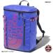 [THE NORTH FACE]BC Fuse Box 2 спорт сумка (NM81817)ABaz Tec голубой 