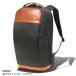 [THE NORTH FACE]Roamer Slim Day Rome тонкий Day Pack / The North Face (NM82061) GG