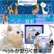  love cat only . ask taking . special . frequency. sound. music CD comfortable pet accessories ... music CD pet accessories convenient pet accessories Fa316