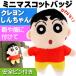  Crayon Shin-chan.. .... .. мягкая игрушка значок герой товары глаз печать стать значок Un064