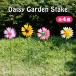  colorful daisy garden stay k flower . flower flower . planter decorative plant manner car garden entranceway gardening pick decoration .