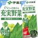 �w�S�P�[�X���������I�x�i�n�����j�ɓ��� �[����� �΂̖�؃~�b�N�X 200ml���p�b�N�~96�{�y��؃W���[�X 200g�z/uy/