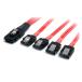 Mini SAS-SATA изменение кабель 1m SFF-8087-4x защелка имеется SATA Star Tec Startech все период гарантия 