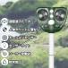 [2�Z�b�g]�Q�b���ފ� �����쏜�� ��������΍� �L���� �����g���� ���悯 �Z���T�[ �O�b�Y �L���� ������ �L�����΍� �A�j�}���o���A ���� �֘A�摜2