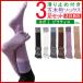 ���K �\�b�N�X 3���Z�b�g 5�{�w ����~�� ���킢�� �s���e�B�X