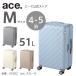 ĥ ꡼Хå ace.  51L 4-5 M 05382