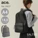  официальный женский бизнес A4 14.0 дюймовый деловой рюкзак Ace ace. дистанционный tere Work обезьяна ti10427