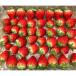  strawberry ....MIX size shape various approximately 750g river south strawberry refrigeration Osaka domestic production special product un- ... with translation . strawberry your order gourmet fruit 
