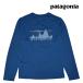 PATAGONIA �p�^�S�j�A �����O�X���[�u �L���v���[�� �N�[�� �f�C���[ �O���t�B�b�N �V���c L/S CAPILENE COOL DAILY GRAPHIC SHIRT SCLX 45190