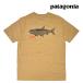 ���{�������i  PATAGONIA �p�^�S�j�A �e�C�N �A �X�^���h ���X�|���V�r���e�B�[ T�V���c TAKE A STAND RESPONSIBILI-TEE SRBC SALTY ROACH: BOBCAT BROWN 37591