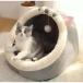  кошка bed кошка для bed домашнее животное bed купол собака подушка коврик .... нежный симпатичный модный теплый кошка. bed кошка . пол 