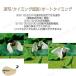 �A�N�V�����J���� 4K �o�C�N�p ���]�� �h�� ���^�J���� �L�����v�p�i ���掿 �A�E�g�h�A 1600����f �X�|�[�c WIFI���� �ԍ� 1080P �֘A�摜4