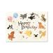 G.C.PRESS�@�J�[�h�@�h�b�O�p�[�e�B�[�@ BIRTH�@004-84�b���[�� �a�����J�[�h �o�[�X�f�[�J�[�h ���� �y�b�g ���� ���킢�� ���C