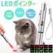  кошка игрушка кошка .... указатель LED указатель USB зарядка заряжающийся свет .. кошка домашнее животное кошка сопутствующие товары товары развлечение инструмент ...... светится .