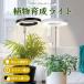  растения выращивание свет LED растения свет выращивание декоративное растение много мясо салон культивирование гидропонная культура солнце свет свет соединение выращивание день . нехватка аннулирование 10 -ступенчатый style свет 3 цвет режим таймер 